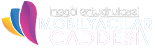 logo-img